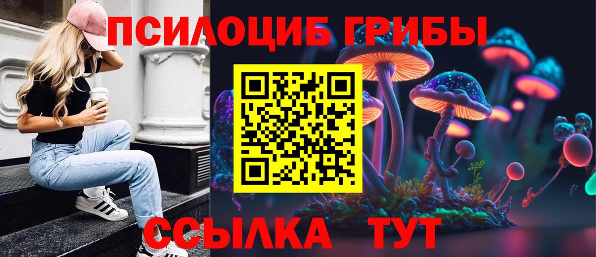 Галлюциногенные грибы Psilocybe  Вход с VPN  Новороссийск 